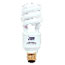 Berkeley CFL bulbs