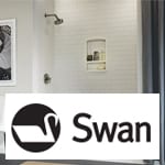Swanstone